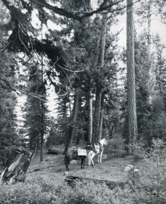 Picture of Magruder murder site